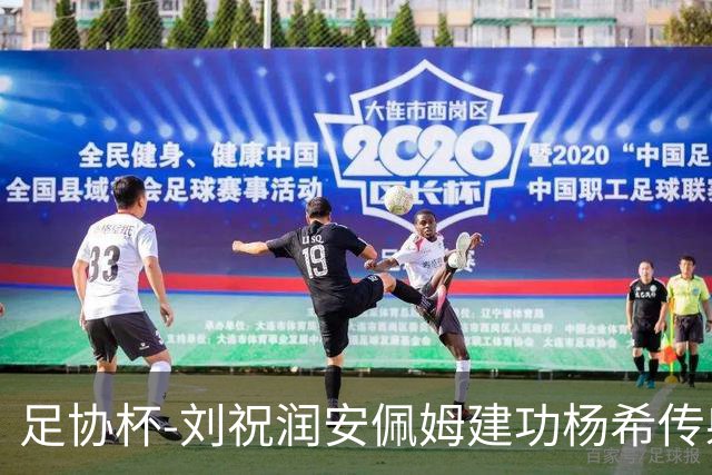 足协杯-刘祝润安佩姆建功杨希传射 海港客场3-0泰山进四强